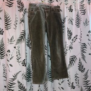 Eddie Bauer Corduroy Boot Leg Pants